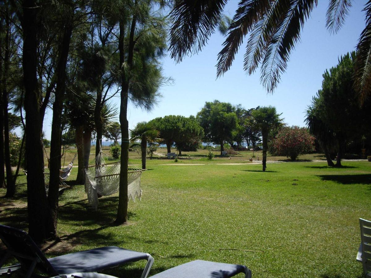Willa Malyma With 2 And 1 Apartment, Front 10,000m2 Botanic Garden Zahora