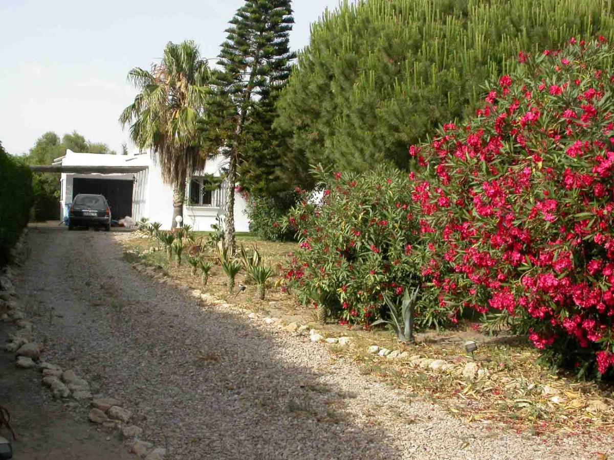 Malyma With 2 And 1 Apartment, Front 10,000m2 Botanic Garden * Zahora